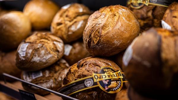 60432810_2305891076146475_5193249621375188992_o