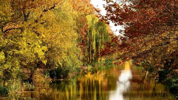 Seres_Sandor_elovizcsatorna