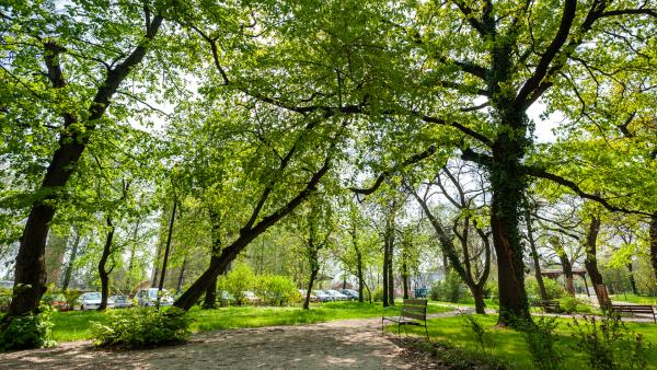 190410_Munkácsy_negyed_tt24