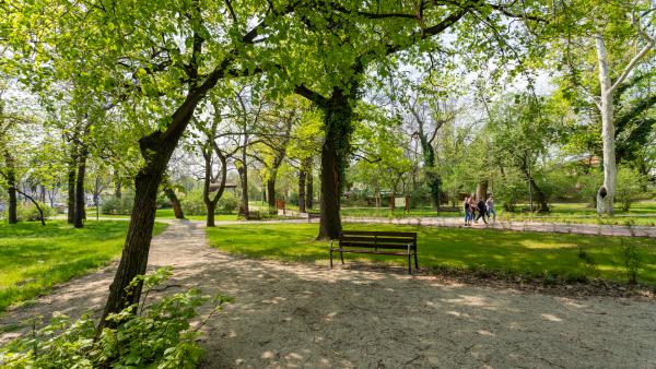 Szechenyi_liget_jan_vutt