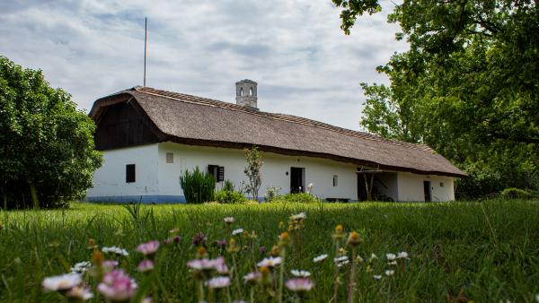 gabonamúzeum