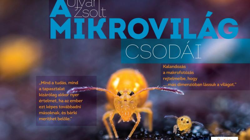 NEM LÁTOGATHATÓ - A mikrovilág csodái – Ujvári Zsolt természetfotós tárlata