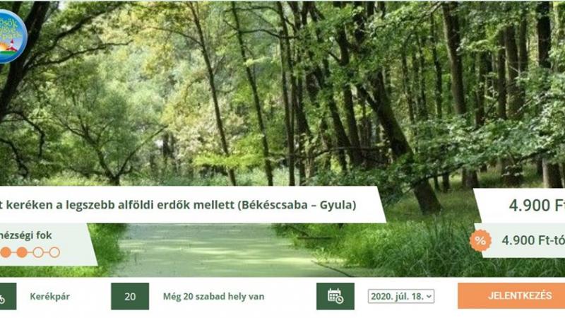 Két keréken a legszebb alföldi erdők mellett