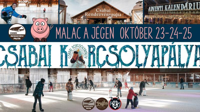 Malac a jégen