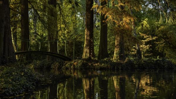 wenkheim_kastélypark