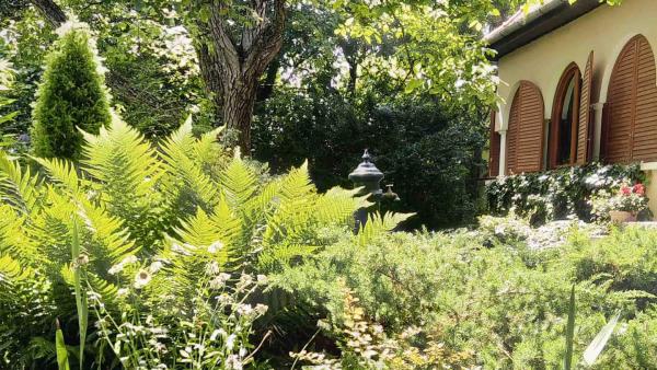 19e89764-52f7-4b18-a4a1-fc9ec22dd952