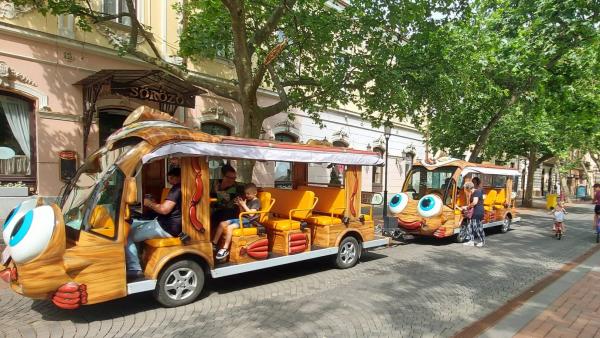 312203882_552309250232734_1399519713210627414_n