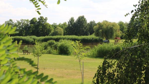 horgásztó_újkígyós_