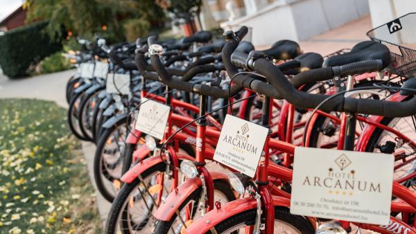 arcanum_bicikli_(26)