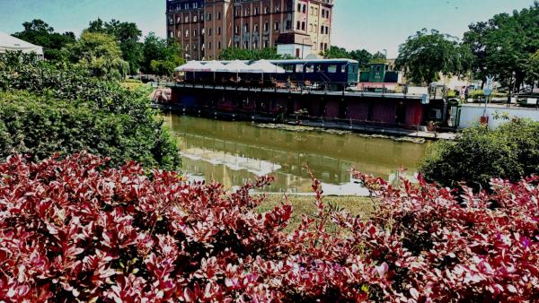 013093e0-57a3-4804-a1b4-ac97fcd84901