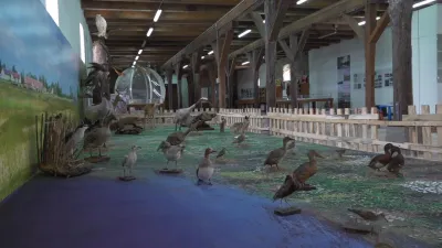 svajceraj-DqNyqbdt-2