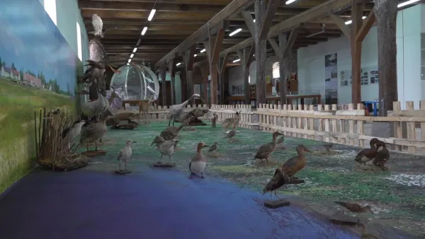 svajceraj-DqNyqbdt-2